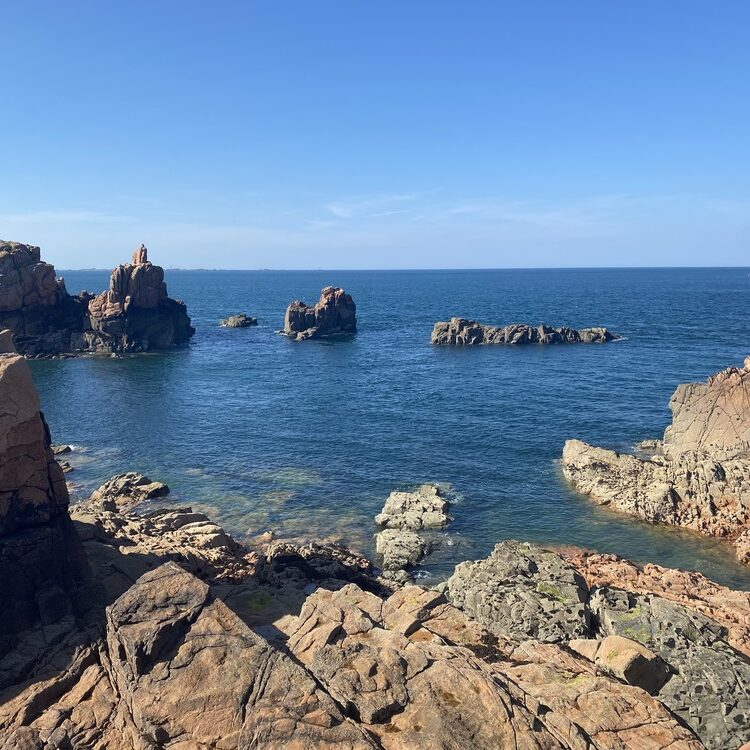 IMG_9561-3 IMG_9561-3